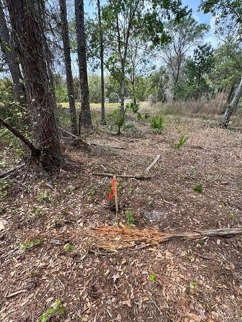 0.7 Acres of Land for Sale in Yalaha, Florida