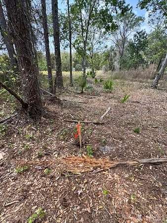 0.7 Acres of Land for Sale in Yalaha, Florida