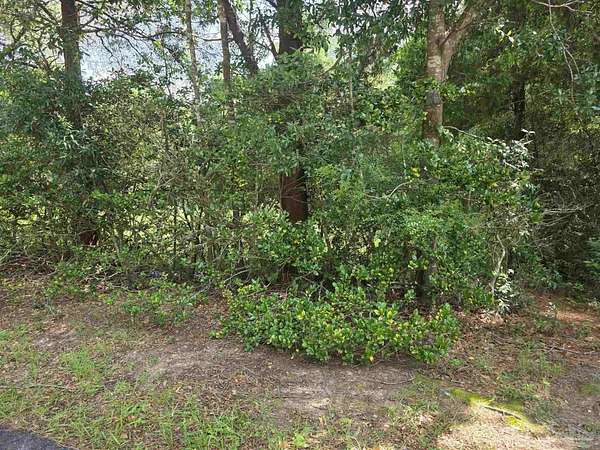 1.7 Acres of Residential Land for Sale in Pace, Florida