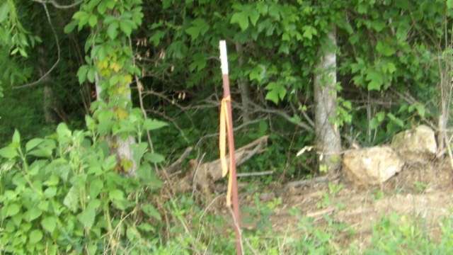 51.3 Acres of Agricultural Land for Sale in Byrdstown, Tennessee