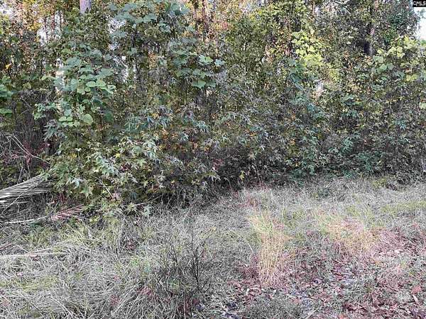 43.7 Acres of Agricultural Land for Sale in Barnwell, South Carolina