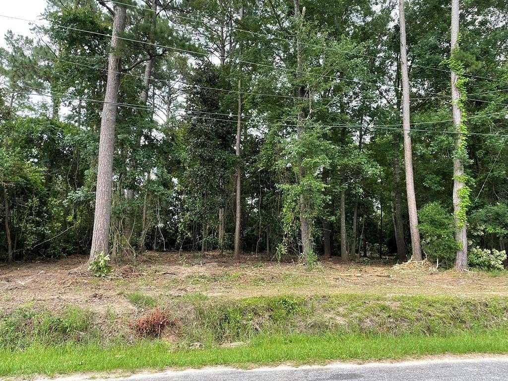 0.59 Acres of Residential Land for Sale in Cordele, Georgia