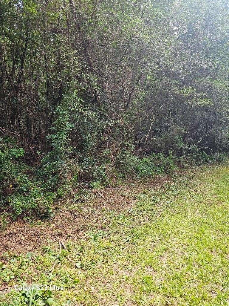0.26 Acres of Land for Sale in Lumberton, Mississippi