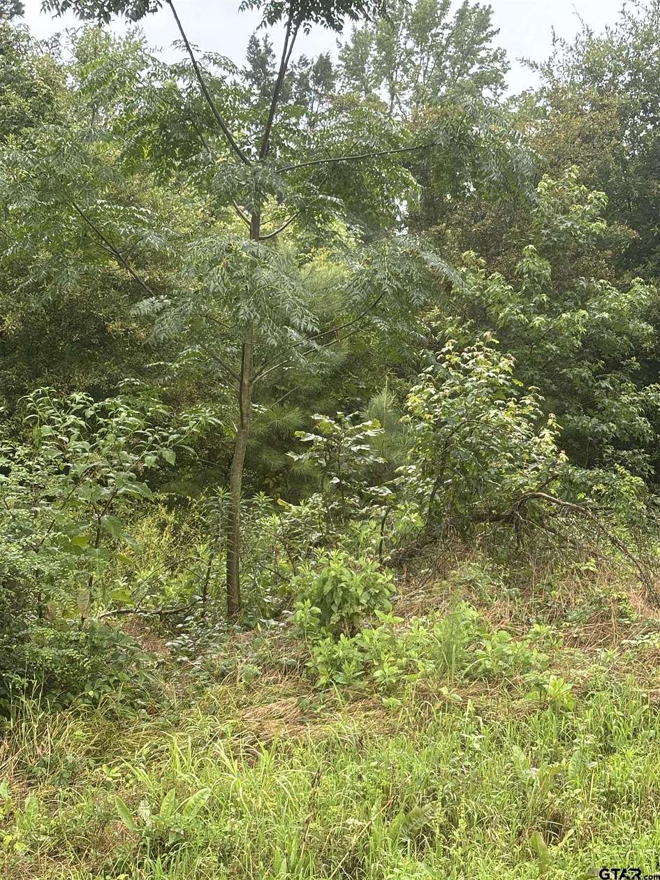 14 Acres of Land for Sale in Pittsburg, Texas