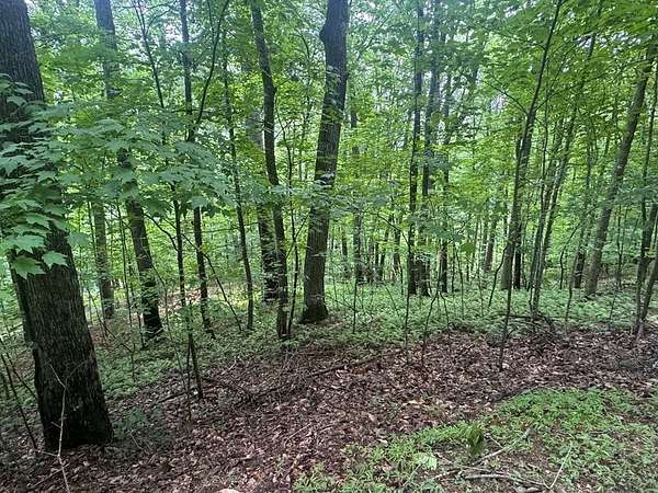 0.21 Acres of Land for Sale in Blairsville, Georgia