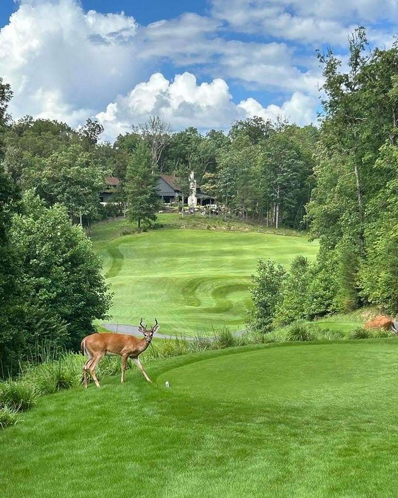 0.44 Acres of Residential Land for Sale in Mineral Bluff, Georgia