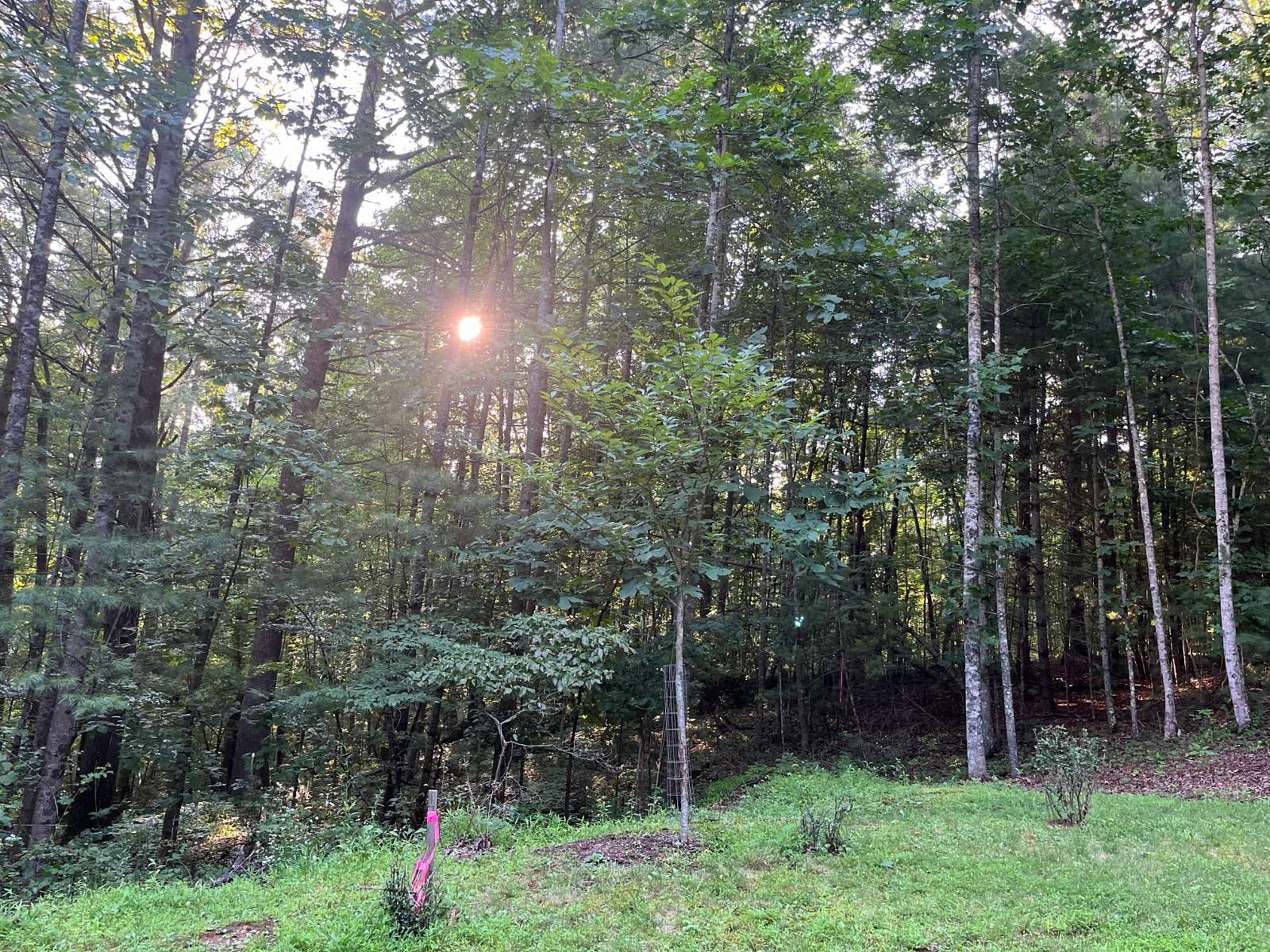 1 Acre of Land for Sale in Laurel Springs, North Carolina