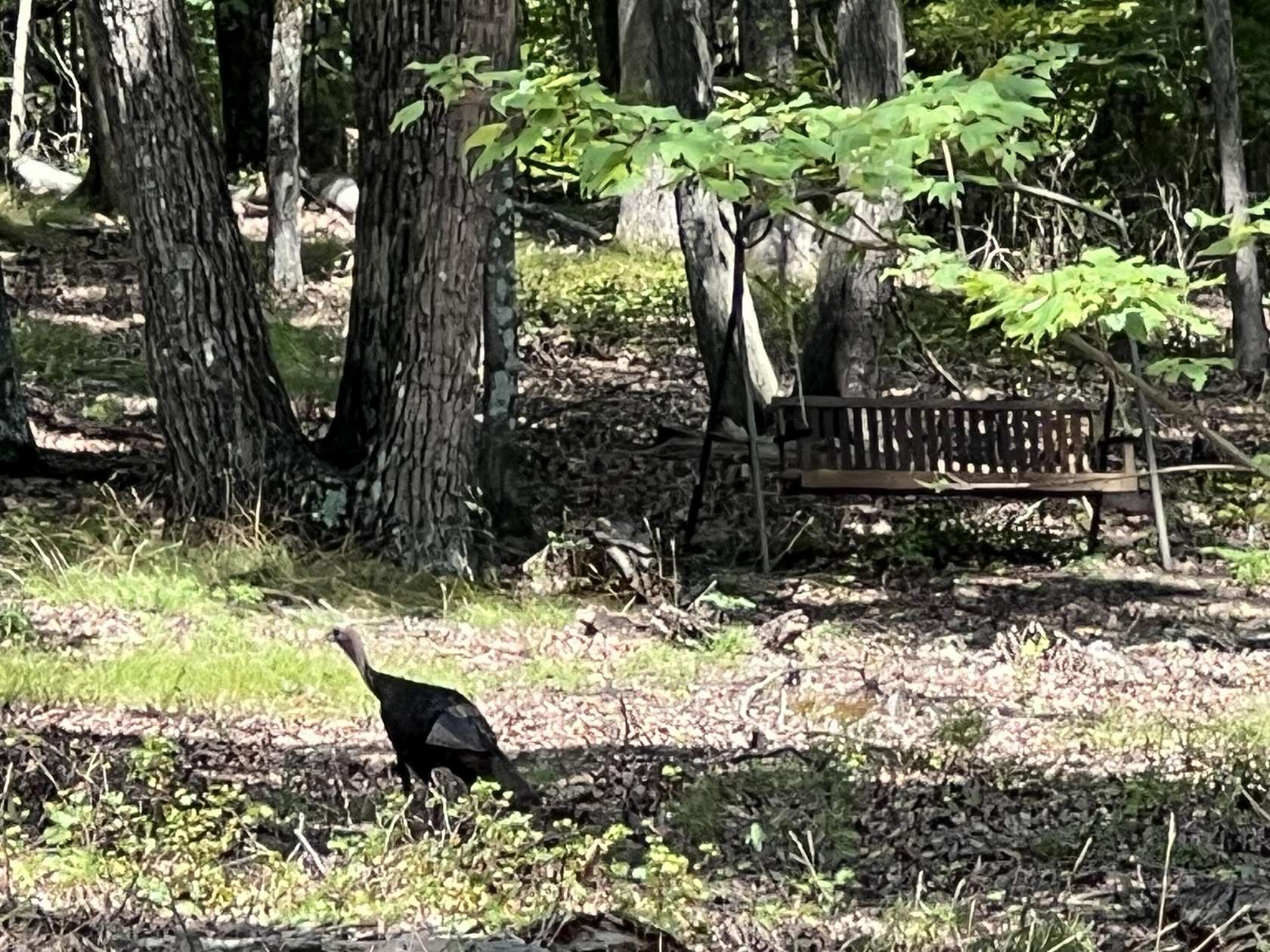 3.16 Acres of Residential Land for Sale in Lookout Mountain, Georgia