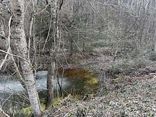 14 Acres of Land for Sale in Sevierville, Tennessee