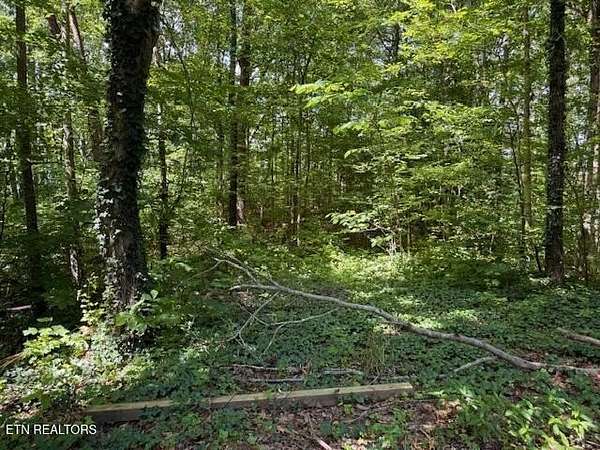 14 Acres of Land for Sale in Sevierville, Tennessee