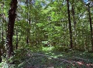 14 Acres of Land for Sale in Sevierville, Tennessee