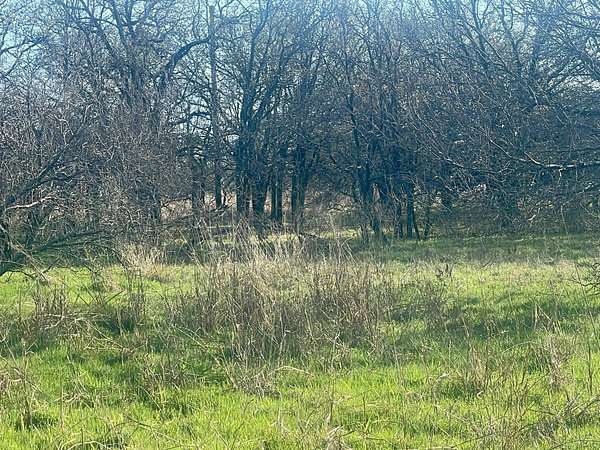 125 Acres of Agricultural Land for Sale in Sunset, Texas