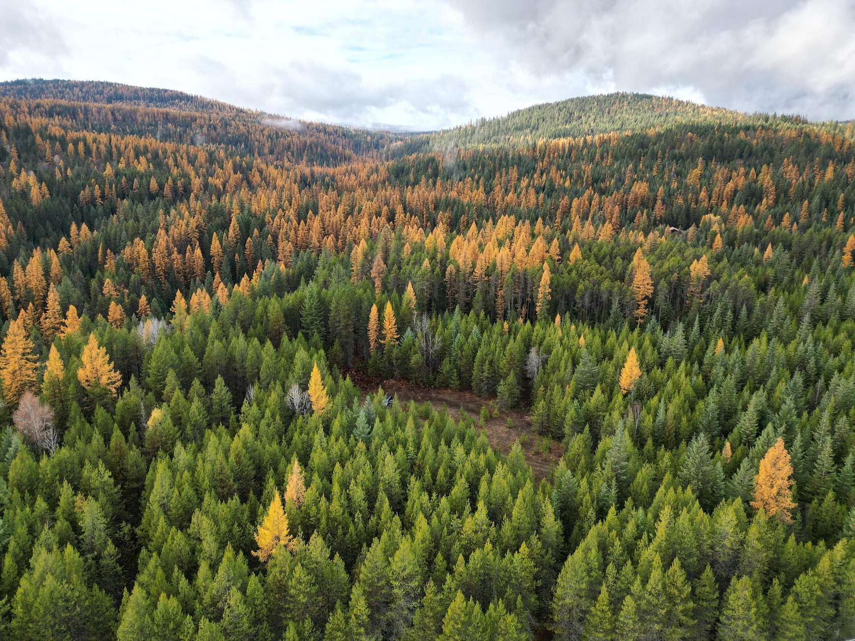 20 Acres of Recreational Land for Sale in Ione, Washington