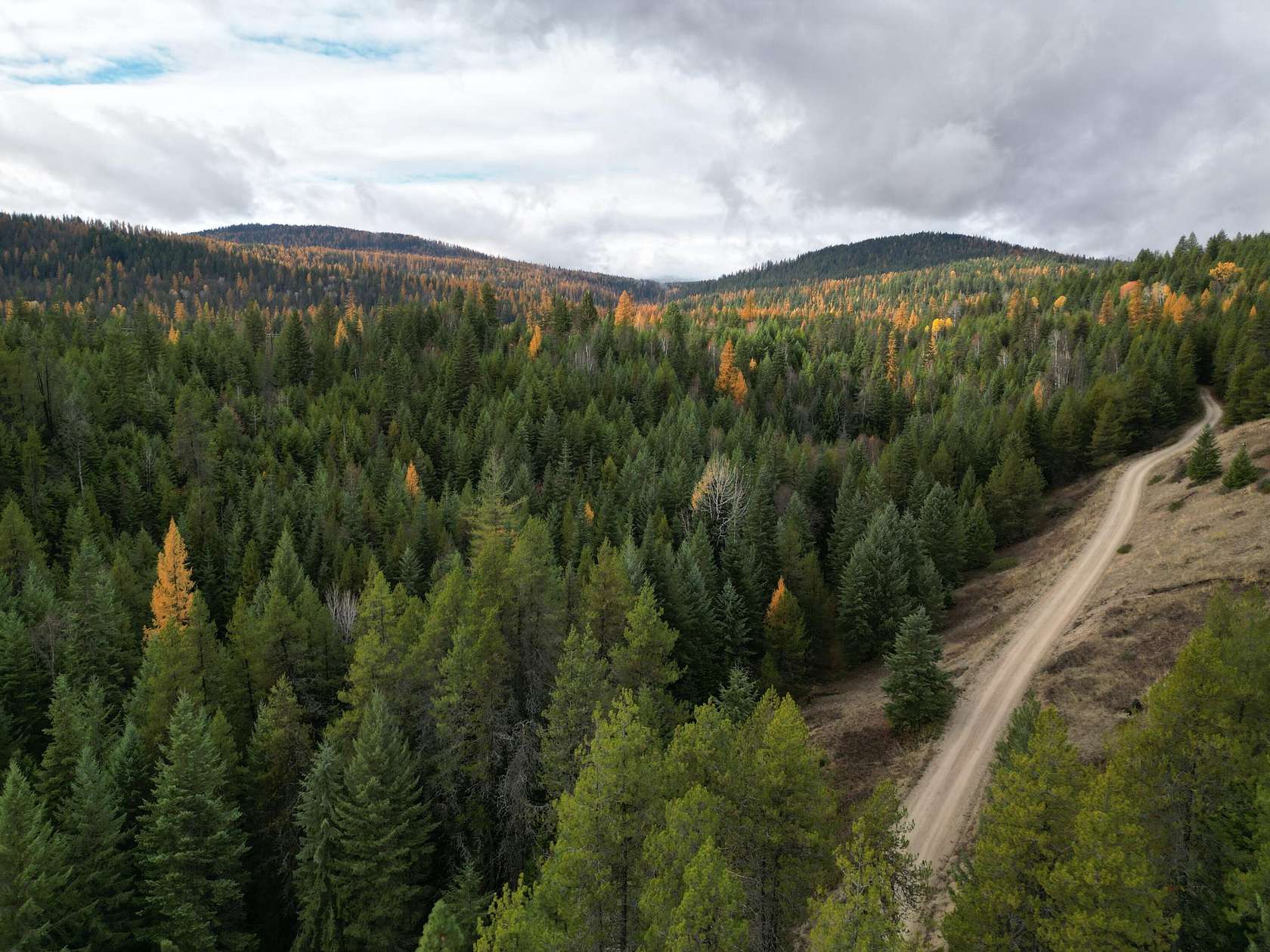 20 Acres of Recreational Land for Sale in Ione, Washington