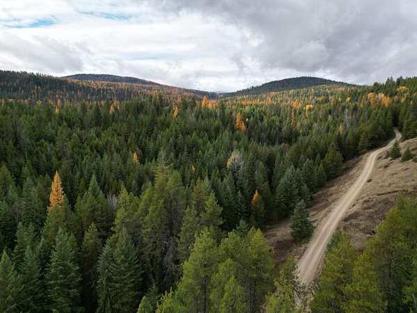 20 Acres of Recreational Land for Sale in Ione, Washington