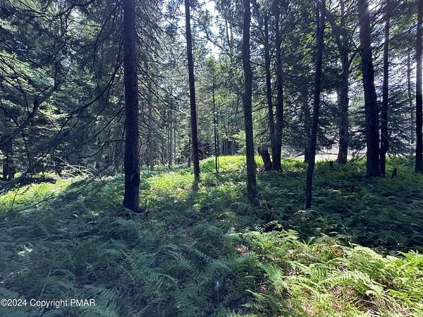 2.2 Acres of Residential Land for Sale in Pocono Lake, Pennsylvania