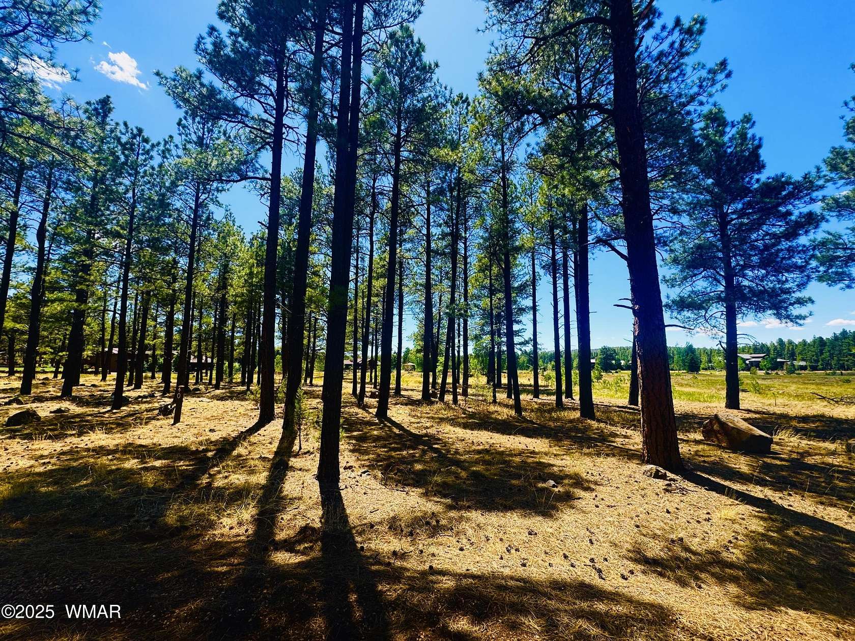 1 Acre of Residential Land for Sale in Pinetop, Arizona