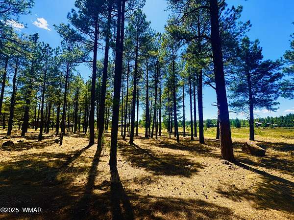 1 Acre of Residential Land for Sale in Pinetop, Arizona