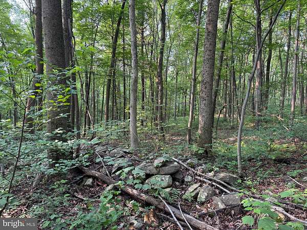 5.5 Acres of Residential Land for Auction in Willow Hill, Pennsylvania