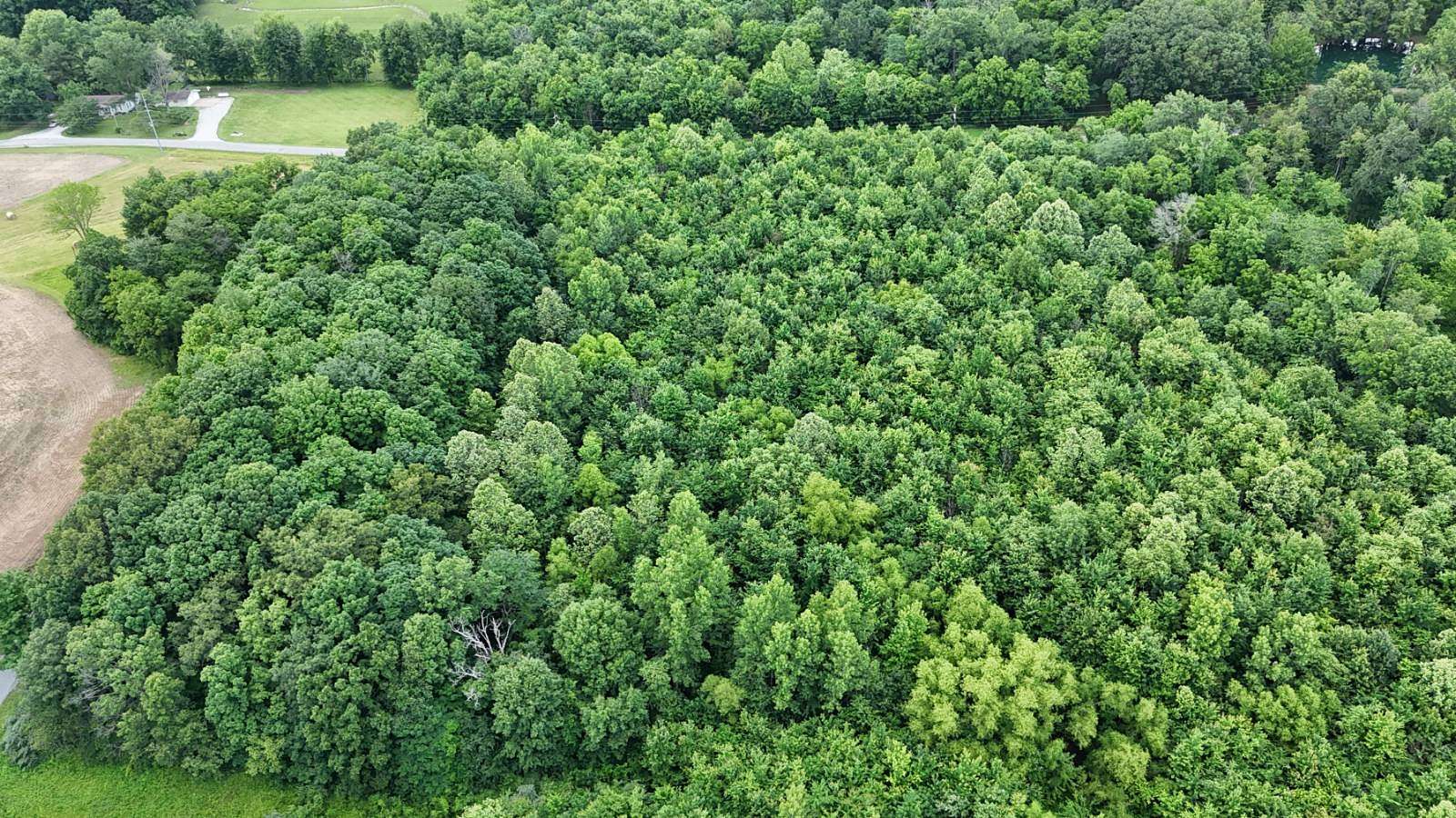 10 Acres of Recreational Land for Sale in Cisne, Illinois