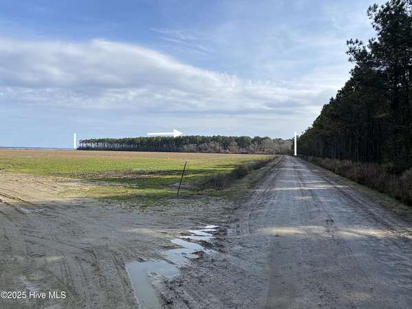43.4 Acres of Land for Sale in Elizabeth City Township, North Carolina