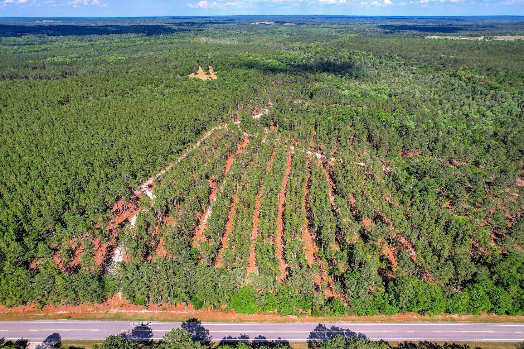 80 Acres of Recreational Land for Sale in Ridge Spring, South Carolina