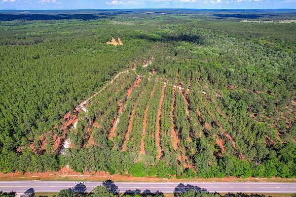 80 Acres of Recreational Land for Sale in Ridge Spring, South Carolina