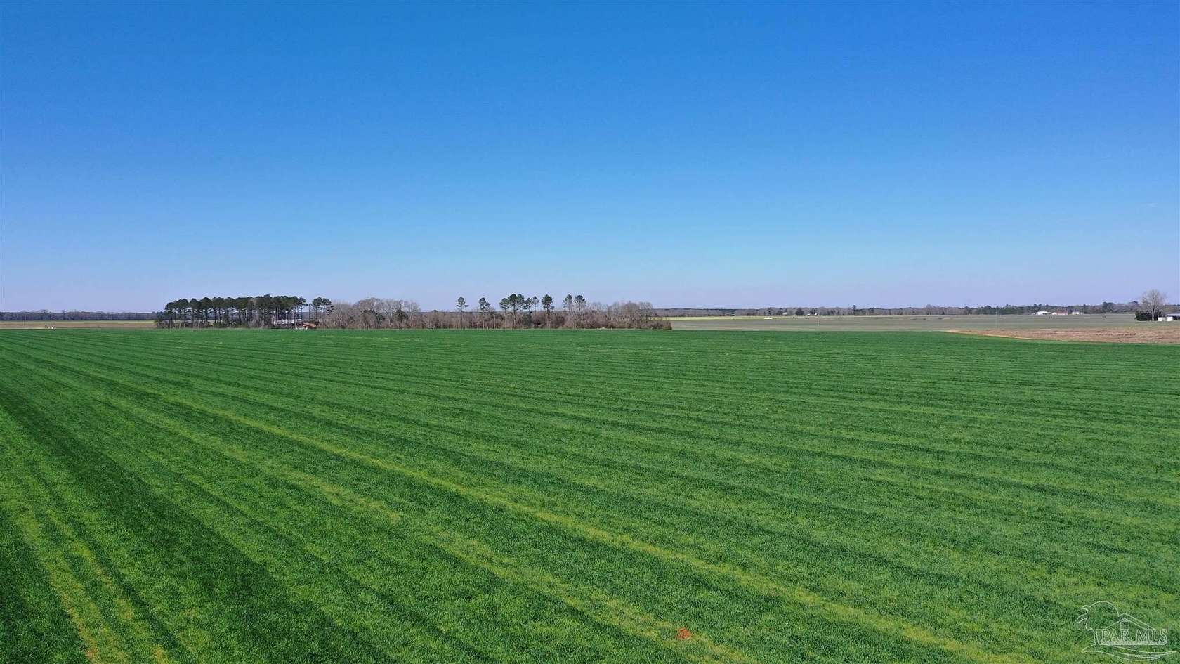 22.2 Acres of Agricultural Land for Sale in Atmore, Alabama