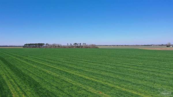 22.2 Acres of Agricultural Land for Sale in Atmore, Alabama