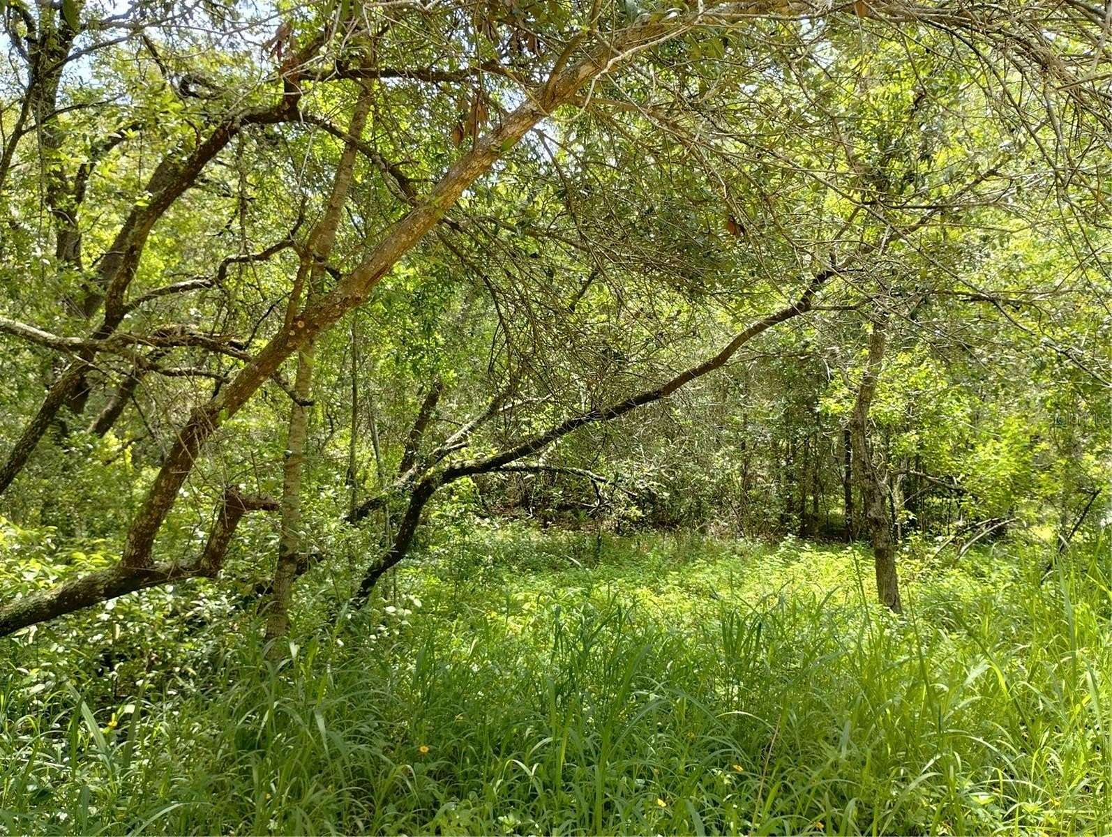 0.26 Acres of Residential Land for Sale in Lady Lake, Florida
