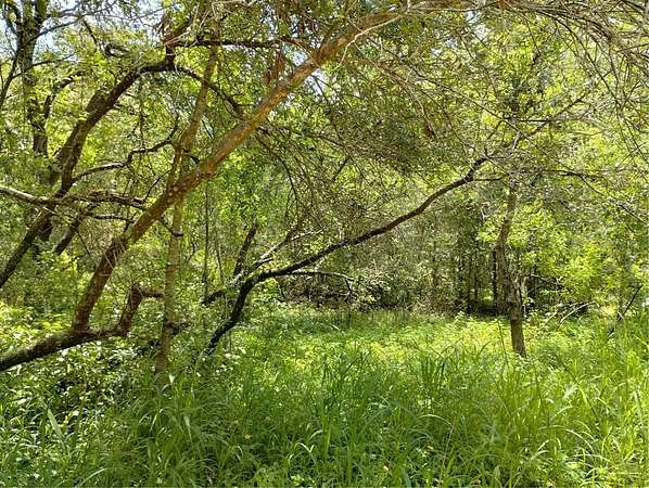 0.27 Acres of Residential Land for Sale in Lady Lake, Florida
