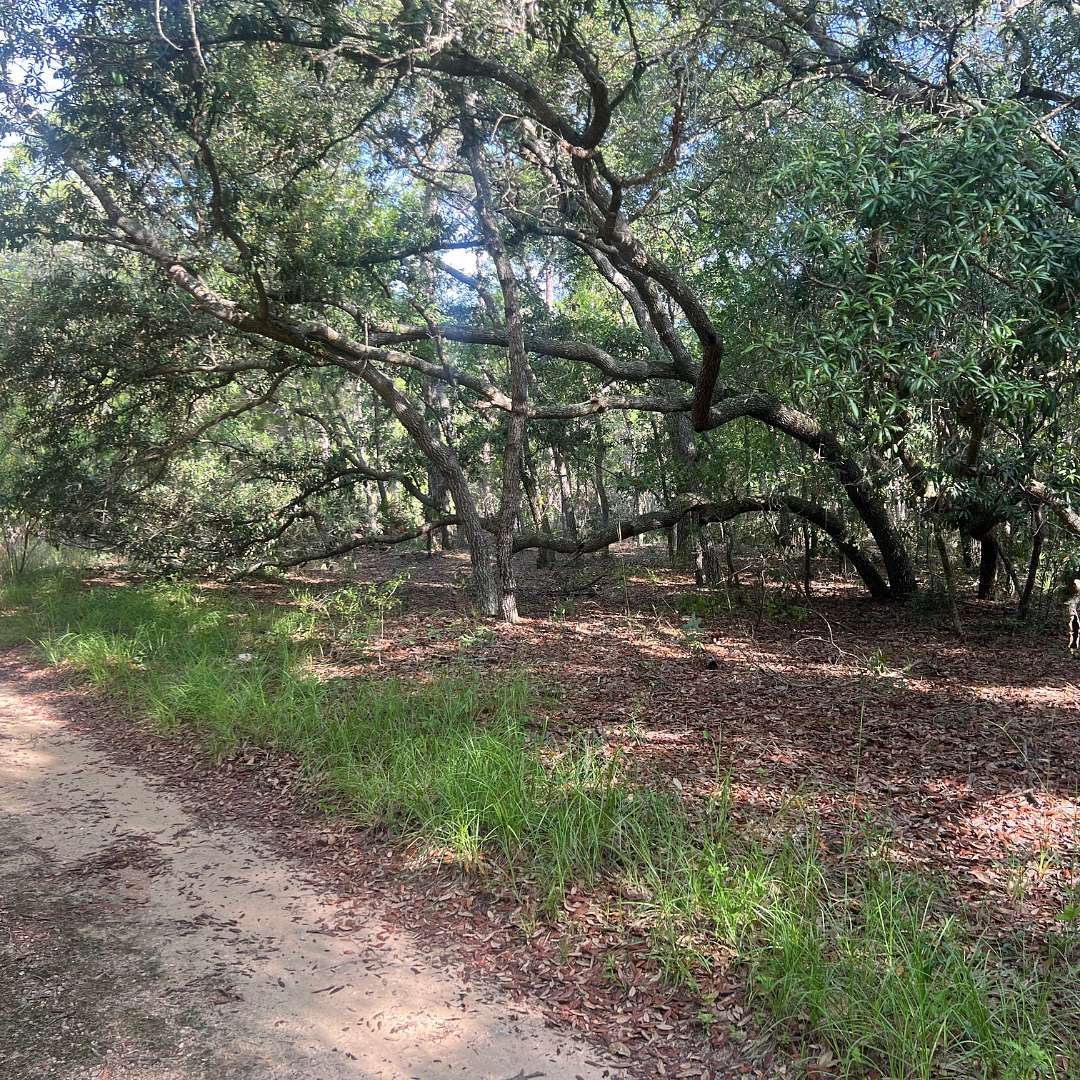 0.7 Acres of Residential Land for Sale in Interlachen, Florida