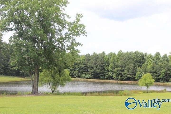 40 Acres of Land for Sale in Pisgah, Alabama