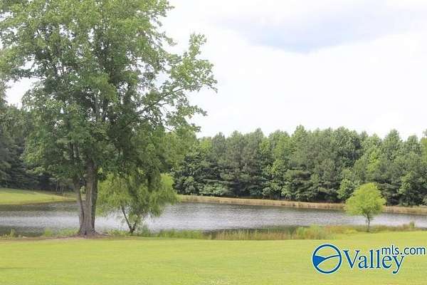 40 Acres of Land for Sale in Pisgah, Alabama