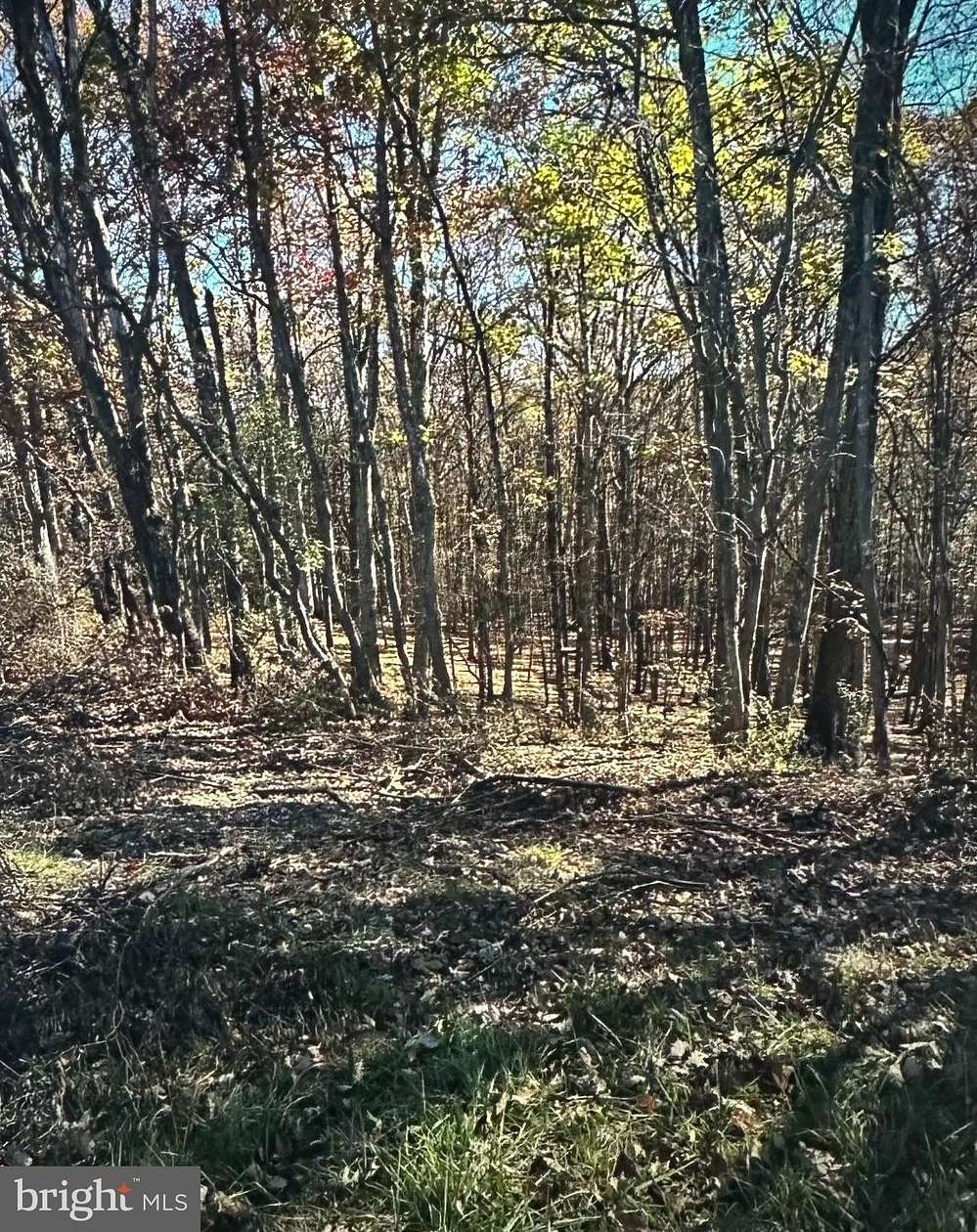 16 Acres of Land for Sale in Flintstone, Maryland