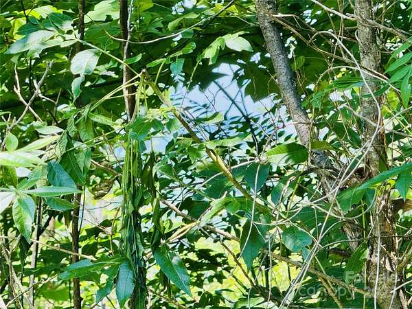 2.66 Acres of Land for Sale in Lenoir, North Carolina