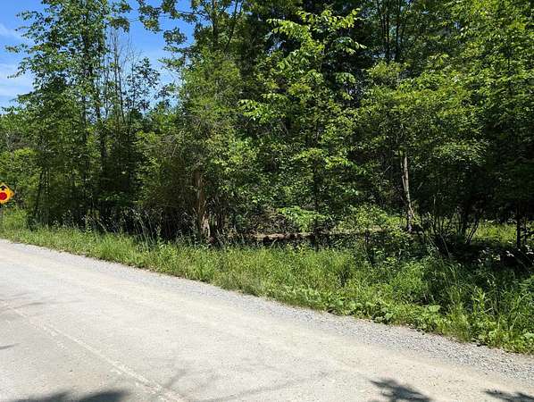 1.64 Acres of Residential Land for Sale in Goodells, Michigan