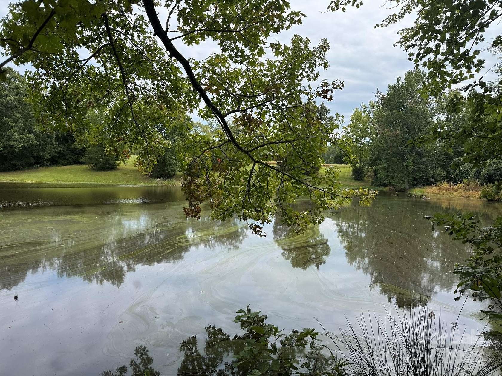 11.5 Acres of Agricultural Land for Sale in York, South Carolina