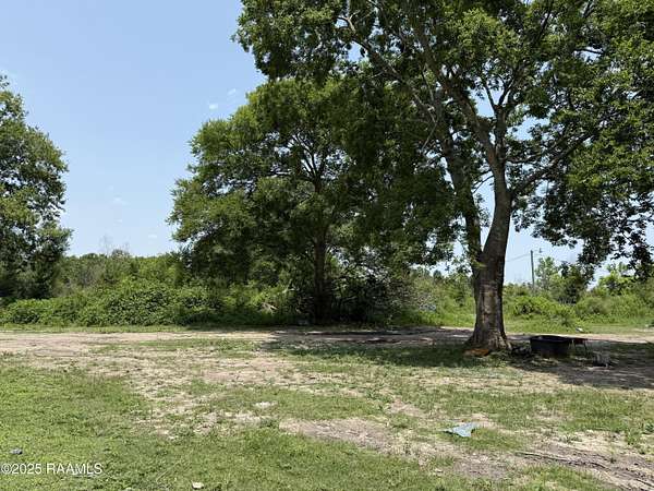 40 Acres of Land for Sale in Opelousas, Louisiana