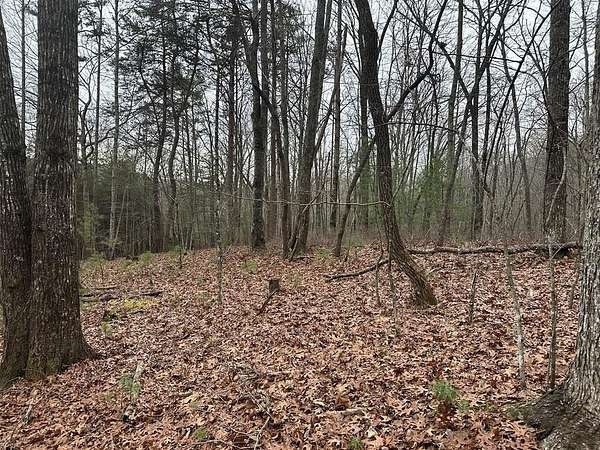 Land for Sale in Murphy, North Carolina