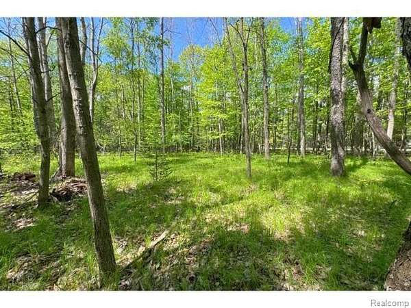 0.74 Acres of Residential Land for Sale in Lake, Michigan