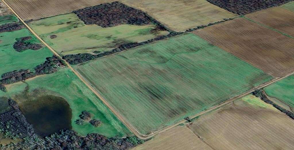 50 Acres of Agricultural Land for Sale in Spring Creek Township, Arkansas