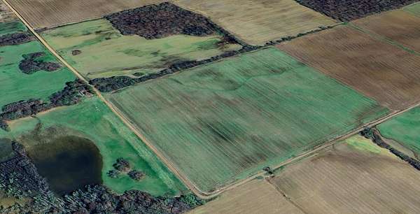 50 Acres of Agricultural Land for Sale in Spring Creek Township, Arkansas