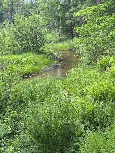 12.6 Acres of Recreational Land for Sale in Newaygo, Michigan
