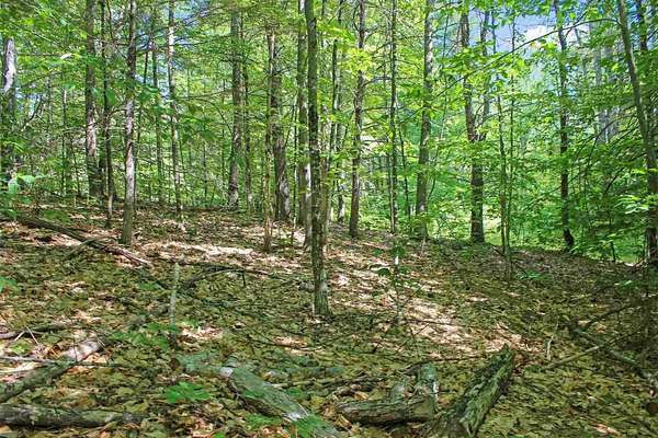 1 Acre of Residential Land for Sale in Ossipee, New Hampshire