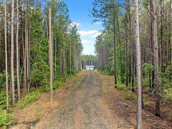30.6 Acres of Recreational Land for Sale in San Augustine, Texas