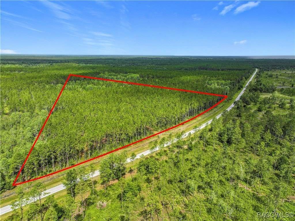 20 Acres of Land for Sale in Chiefland, Florida