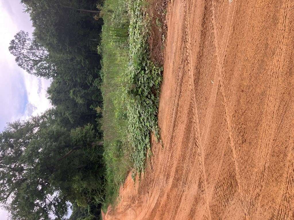 7 Acres of Residential Land for Sale in Slocomb, Alabama