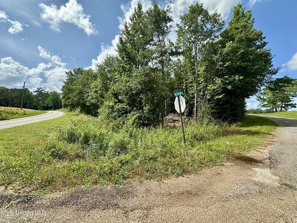 17 Acres of Recreational Land for Sale in Decatur, Mississippi