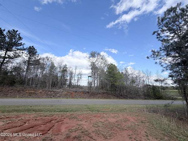 17 Acres of Recreational & Residential Land for Sale in Decatur, Mississippi